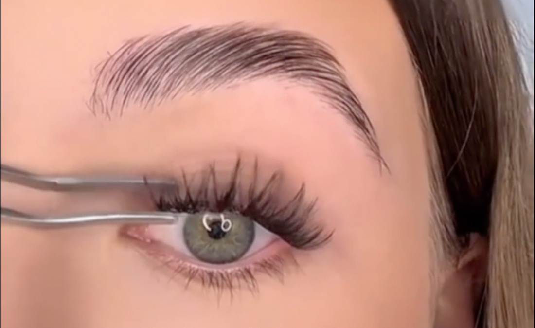 Reusable DIY cluster lashes and D’Lumin lash application tools