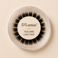 D’Lumin Volume DIY lash refill tray with full dramatic lash clusters